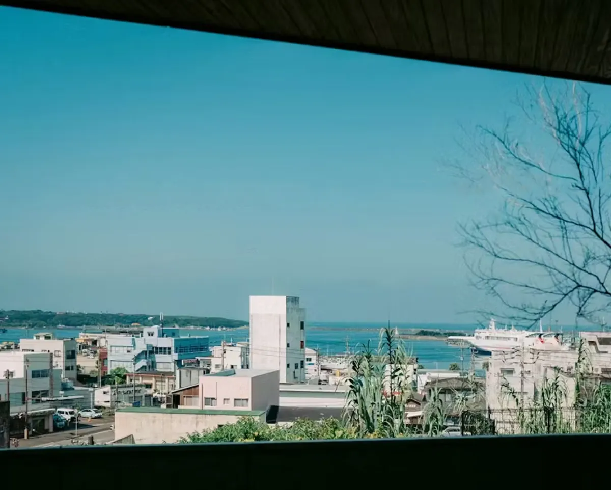 다네가시마 별하늘