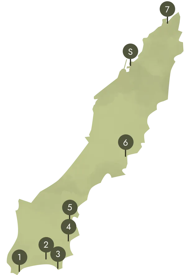 宙と青 宇宙 × 自然コース(種子島南部)