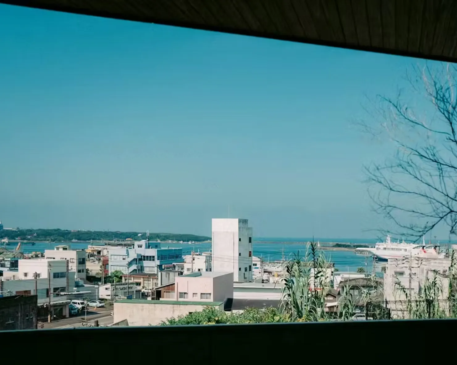 種子島の過ごし方